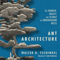 Ant_Architecture