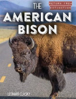 The_American_Bison