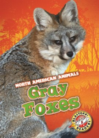 Gray_Foxes