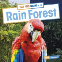 Day_and_Night_in_the_Rain_Forest
