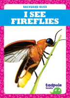 I_See_Fireflies