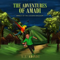 The_Adventures_of_Amadi