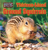 Thirteen-Lined_Ground_Squirrels