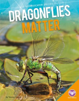 Dragonflies_Matter