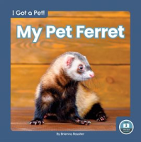 My_Pet_Ferret