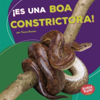 __Es_una_boa_constrictora___It_s_a_Boa_Constrictor__
