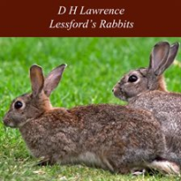 Lessford_s_Rabbits