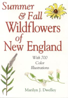 Summer___Fall_Wildflowers_of_New_England