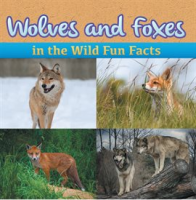 Wolves_and_Foxes_in_the_Wild_Fun_Facts