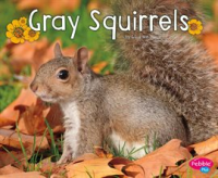 Gray_Squirrels