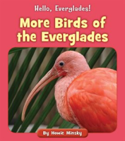 More_Birds_of_the_Everglades