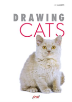 Drawing_Cats