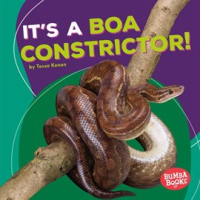 It_s_a_Boa_Constrictor_