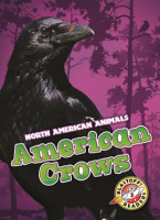 American_Crows