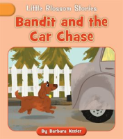Bandit_and_the_Car_Chase