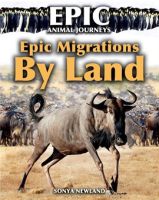 Epic_Migrations_by_Land