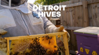 Detroit_Hives