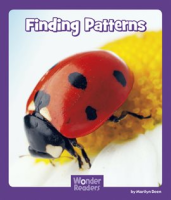Finding_Patterns