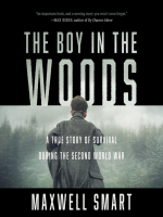 The_Boy_in_the_Woods