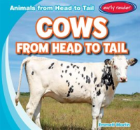 Cows_from_Head_to_Tail