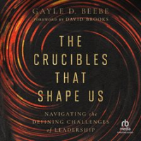 The_Crucibles_That_Shape_Us
