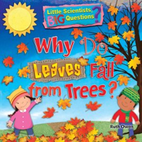 Why_Do_Leaves_Fall_from_Trees_