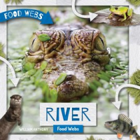 River_Food_Webs