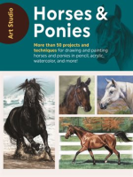 Horses___Ponies