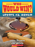 Coyote_vs__Dingo