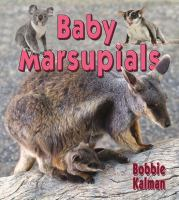 Baby_marsupials