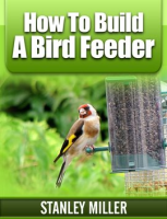 How_to_Build_a_Bird_Feeder