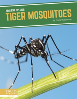 Tiger_Mosquitoes