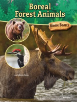 Boreal_Forest_Animals