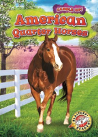 American_Quarter_Horses