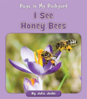 I_See_Honey_Bees