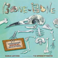 Bone_by_Bone