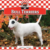 Bull_Terriers