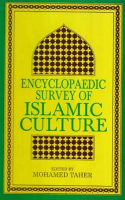 Encyclopaedic_Survey_of_Islamic_Culture__Volume_13