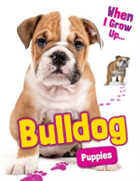 Bulldog_Puppies