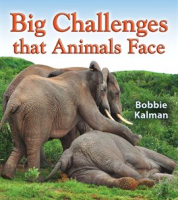 Big_Challenges_that_Animals_Face