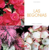 Las_Begonias