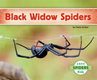 Black_Widow_Spiders