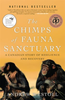Chimps_Of_Fauna_Sanctuary