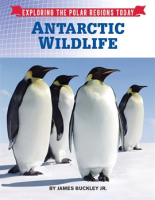Antarctic_Wildlife