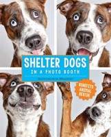 Shelter_Dogs_in_a_Photo_Booth