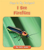 I_See_Fireflies