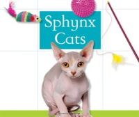 Sphynx_Cats