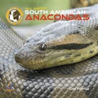 All_About_South_American_Anacondas