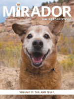 Mirador_Magazine