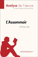 L_Assommoir_d___mile_Zola__Analyse_de_l_oeuvre_